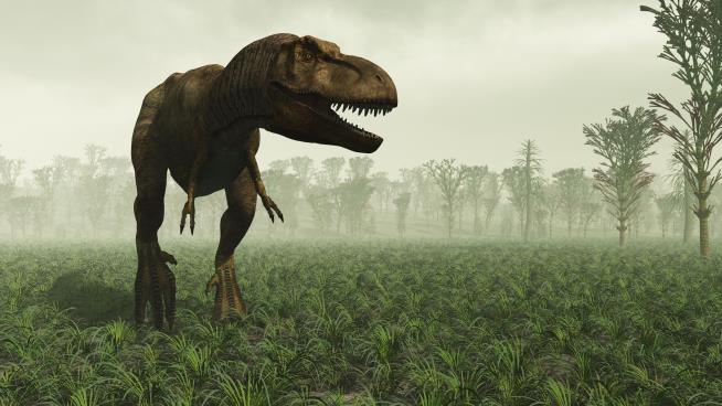 T. Rex May Have Used Petite Arms for 'Vicious Slashing'