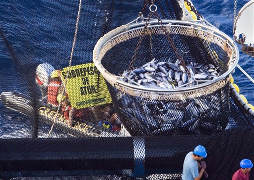 Can Fish-Hungry Japan Go Sustainable?