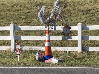 Traffic Cone Weed Is Town's Christmas Miracle