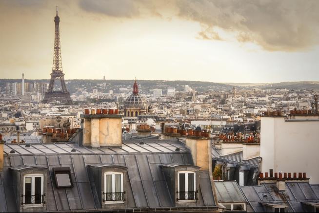 On a Paris Rooftop, a Scientific and Foodie Mystery
