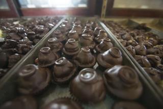 Chocolate May Become Scarce, Unless Scientists Intervene