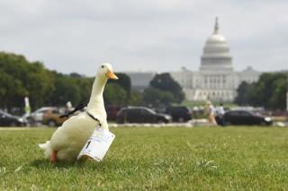 Aflac Workers Cry Foul on Company's Practices