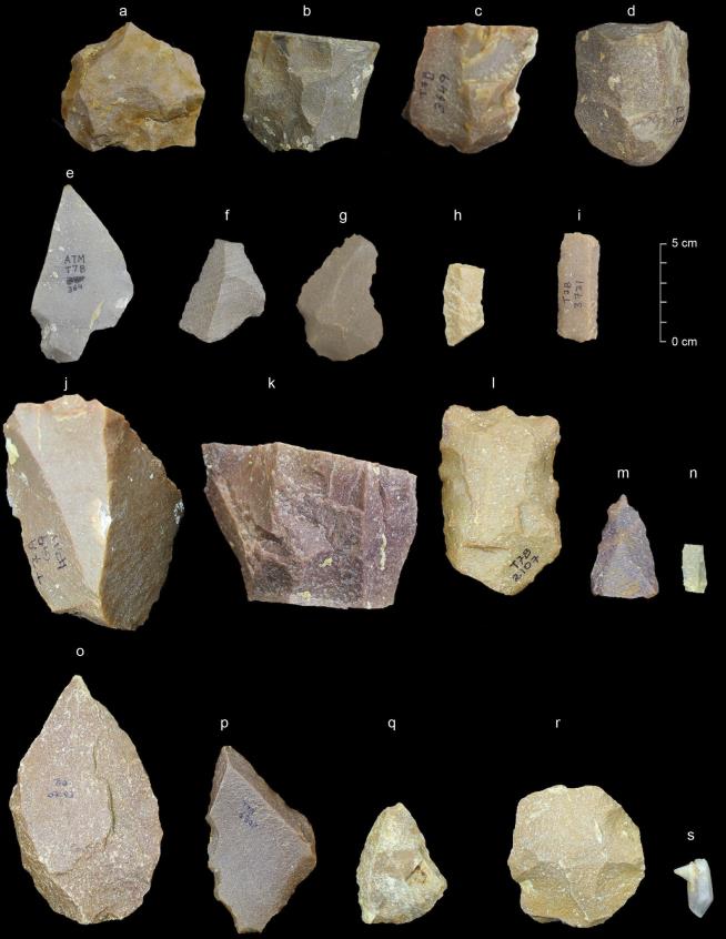 These Ancient Tools Raise Questions of Humanity's History