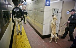 New Bomb-Detection Units Coming to Busiest US Train Station