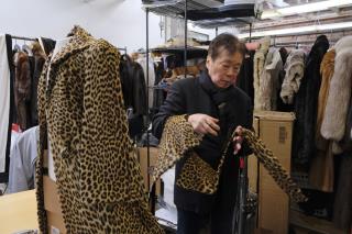 San Francisco Approves Ban on Fur Sales