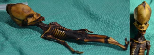 Truth About Mummified 'Alien' Skeleton Revealed
