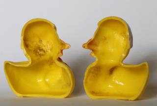 Yucky Ducky? Kids' Bath Toy Has a Dirty Secret