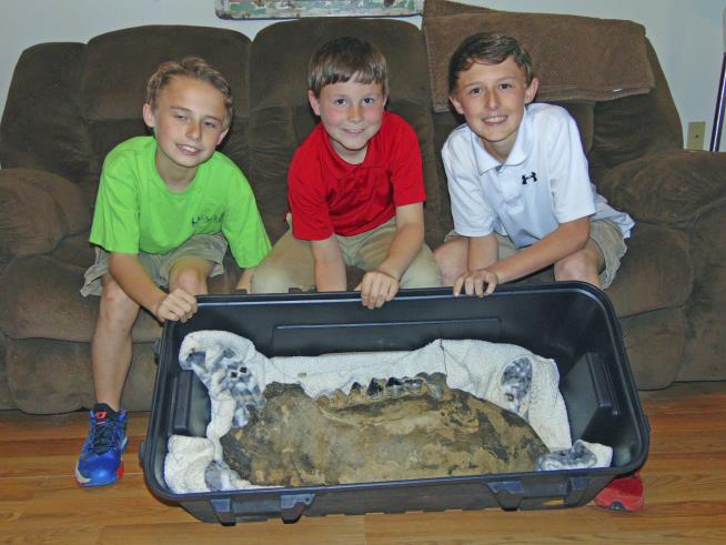 3 Boys Find Mastodon Jawbone on Family Land