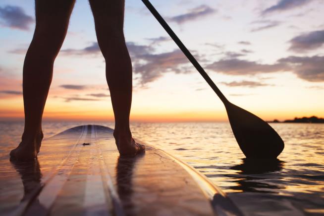 Man Vanishes on Paddleboard Owing $500K in Child Support