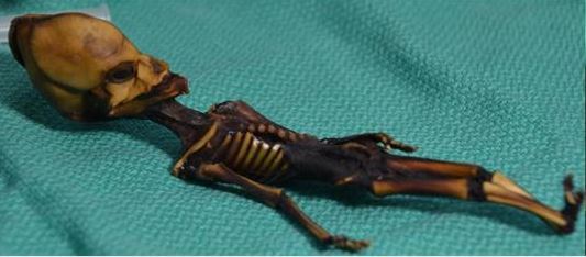 Research on 'Alien' Skeleton Causes Outrage in Chile