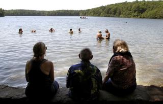 Thoreau's Beloved Pond Has a Delicate Problem