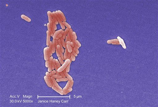 Salmonella Outbreak Sickens 60 People