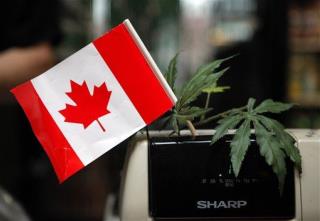 Canada Takes Final Step to Legalize Marijuana