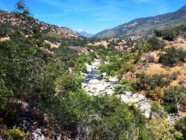 2 Drown in Same Place in Sequoia National Park in June