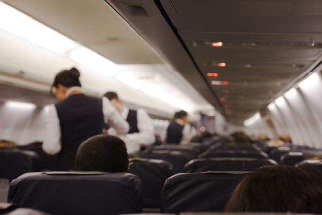 Flight Attendants at Higher Risk for Many Types of Cancer