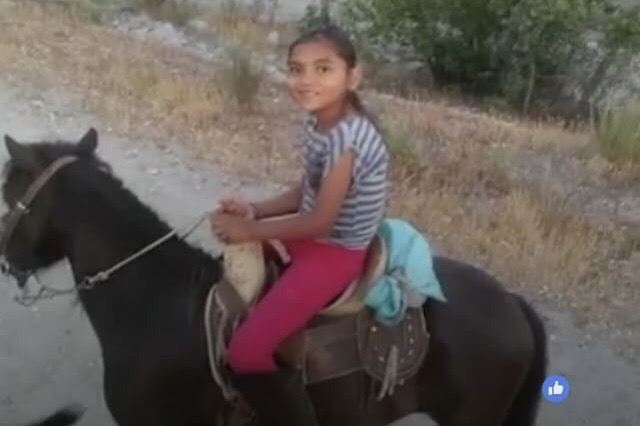 Girl, 12, Fatally Crushed by Horse on Family Outing
