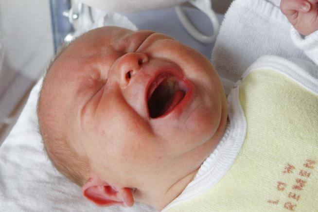 Baby's Cries Hint at Adult Voice