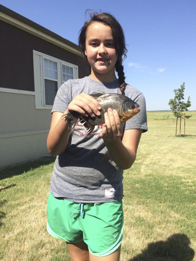 Girl, 11, Catches Piranha Relative in Oklahoma
