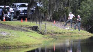 Woman Killed in Rare Alligator Attack in Hilton Head