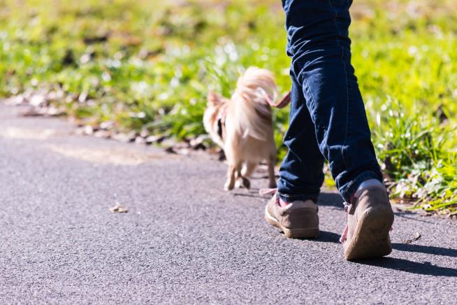 Woman: I Was 'Mom-Shamed' for Letting Daughter Walk Dog