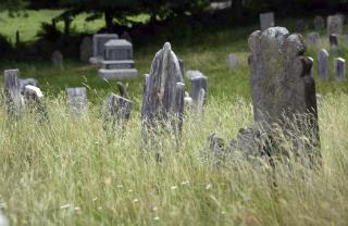 Visiting a Cemetery, They Find a Body