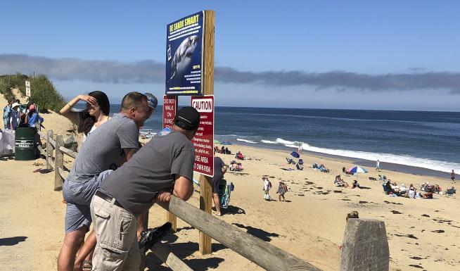 'Right Spot, Wrong Time': Shark Kills Boogie Boarder