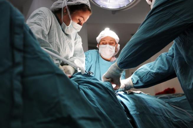 'Healthy' Organ Donor Kills 3 in 'Extraordinary' Case