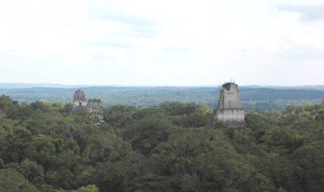 What 61K Unseen Structures Say About the Mayans
