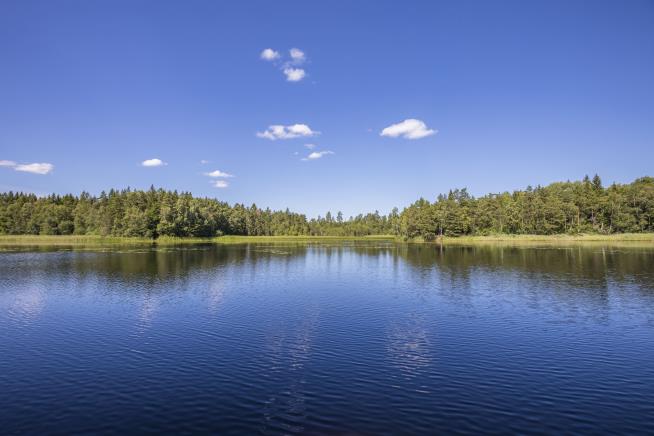 Girl Finds Ancient Sword in Lake, Is Now Sweden's 'True Queen'