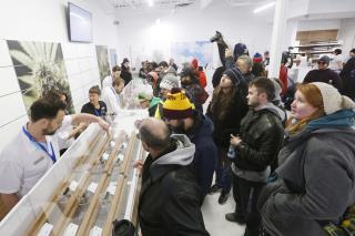 Canadian Pot Industry Eyes Rest of the World