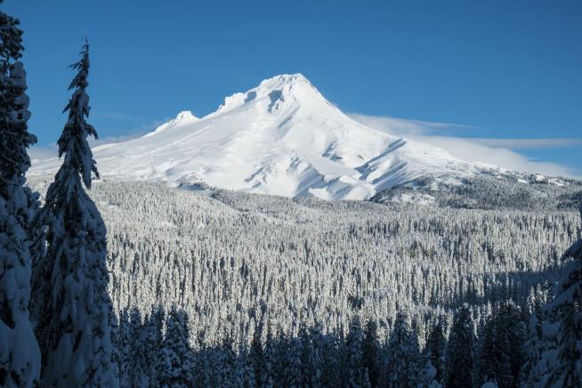 The School Led the Students Up Mount Hood, to Their Deaths