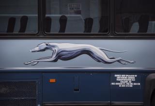 Greyhound Passenger Saves Bus: 'I Didn't Want to Die'