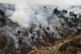 New Amazon Rainforest Data Paints Grim Picture