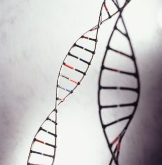'Ironclad' Authority of DNA Evidence Questioned