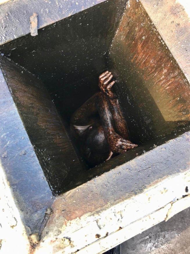 Grease Vent Proves to Be Grease Trap for California Man