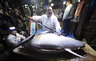 Man Buys Fish for $3.1M