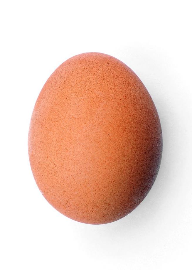 Egg Smashes Kylie Jenner's Instagram Record