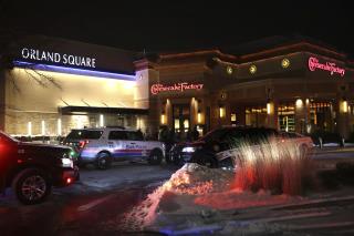 Suspect at Large in Chicago-Area Mall Shooting