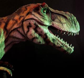 Scientists Unearth the 'Rex of Rexes'
