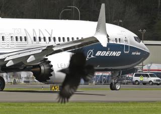 Boeing 737 Nosedived 'Repeatedly' Before Fatal Crash