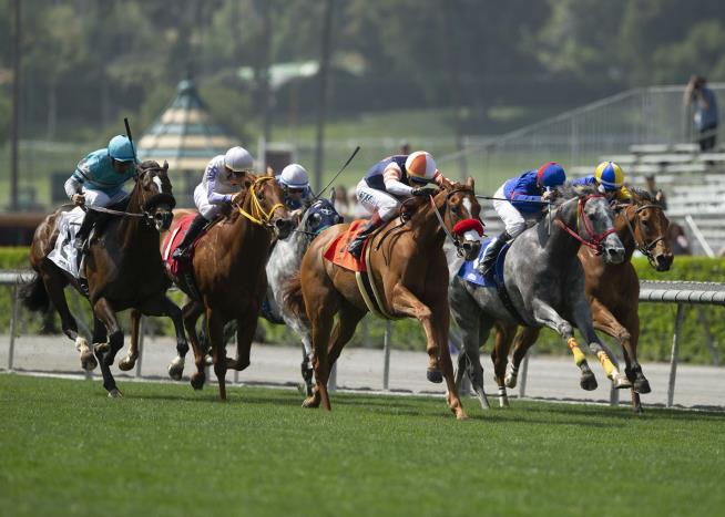 Horse No. 24 Dies at Southern Calif. Racetrack