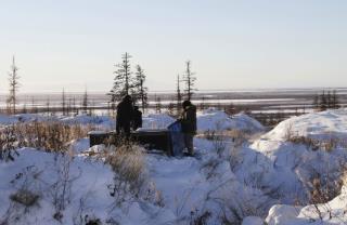 Climate Change Could Make Siberia More Habitable: Study