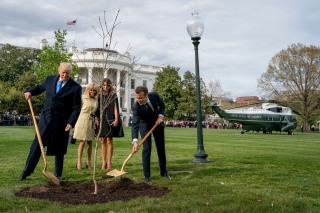 Macron: I'm Sending Trump a New Tree