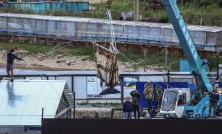 Russia Says 100 Illegally Captured Whales Will Be Freed