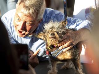 Don't Look Away From the World's Ugliest Dog