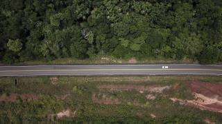 Whistleblower: Brazil Is Aiding in Amazon's Destruction