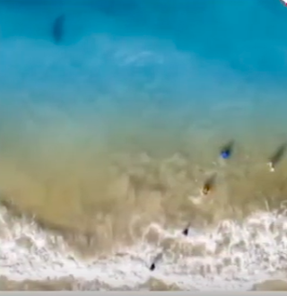 Drone Belonging To Dan Watson Captures Images Of Shark In Waters Off New Smyrna Beach In Florida