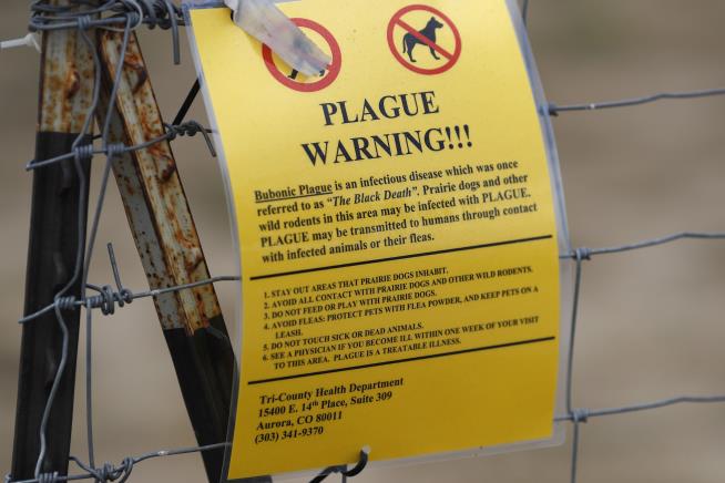 Denver-Area Refuge Is Battling the Plague