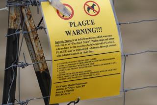 Denver-Area Refuge Is Battling the Plague