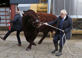 Boris Johnson Provides Photo of the Day
